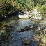 Vrch nad potokom Bielej vody