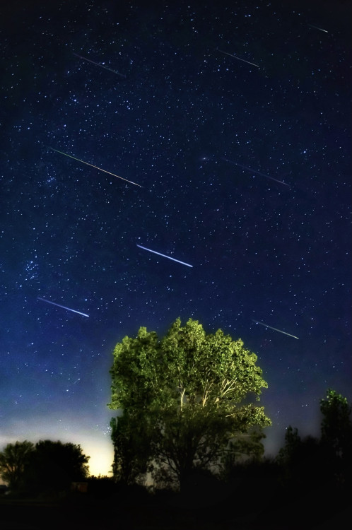 Strom tisícich prianí