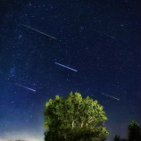 Strom tisícich prianí