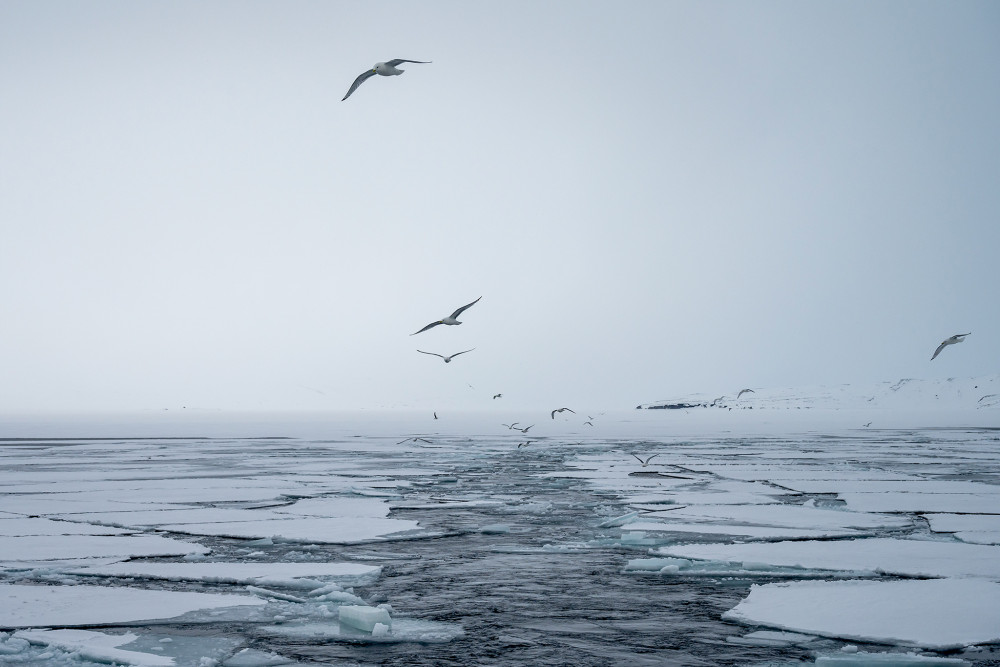 Svalbard