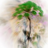 algoritmus stromu