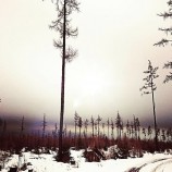 Vysoké Tatry