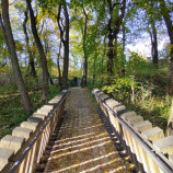 Novembrová