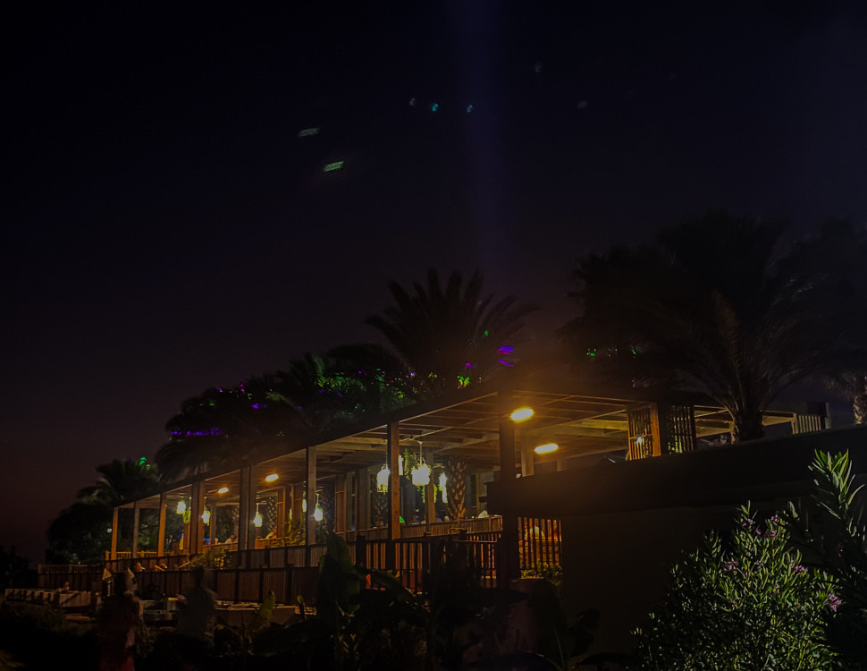 Dotyk mesiaca v listoch paliem - Side, Turecko