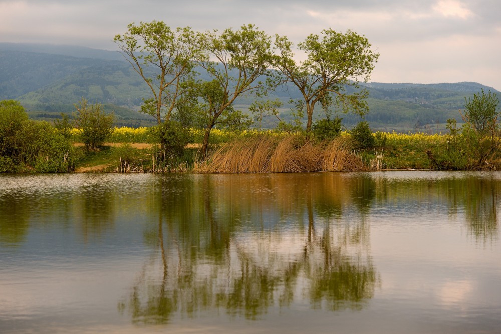 Očová - jazierko