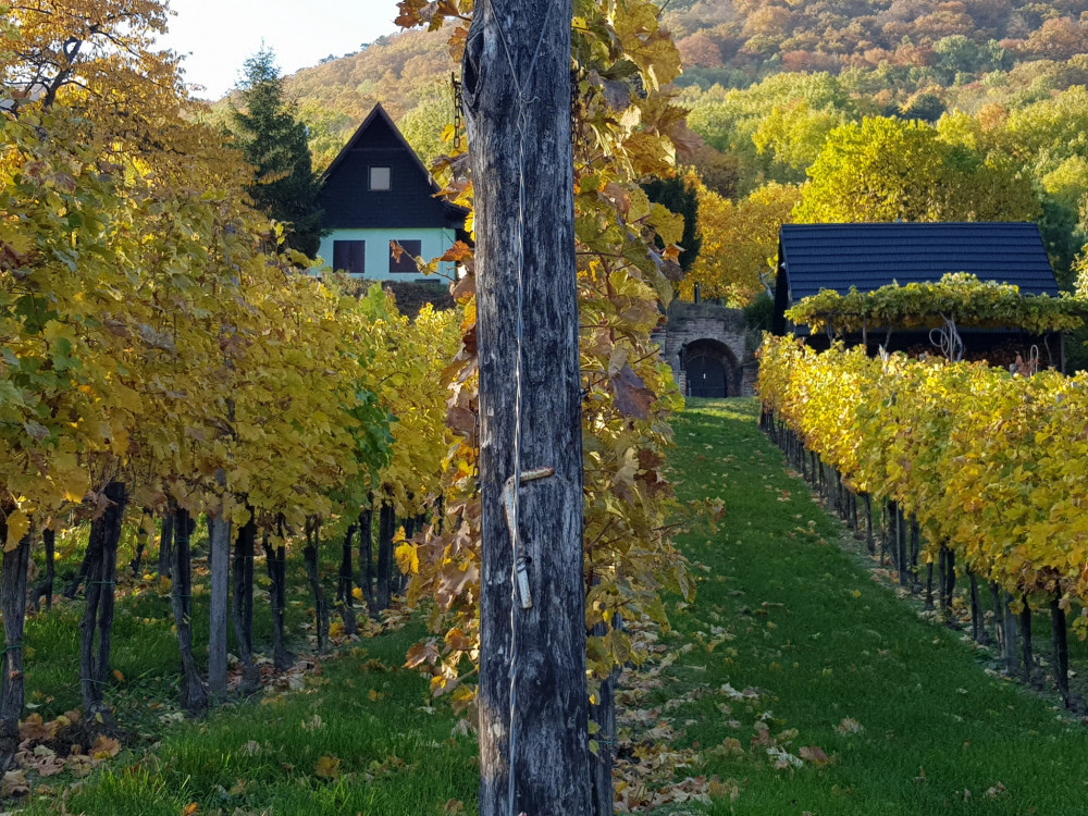 Karpaty na jeseň