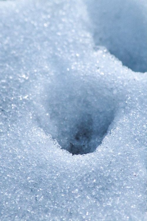 Stopa zamrznutá v čase