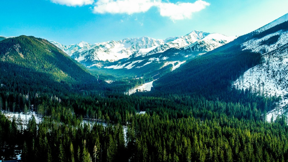 Západné Tatry