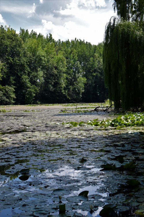 Klátovské rameno