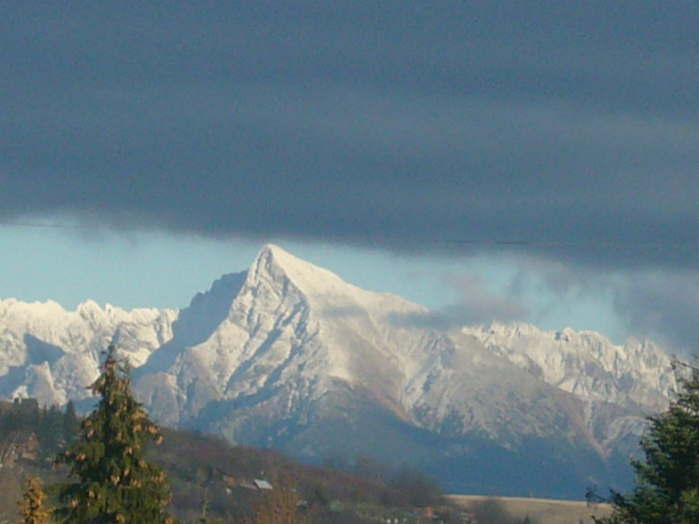 Hrdý krásny,,Kriváň,,