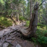 Tatry009