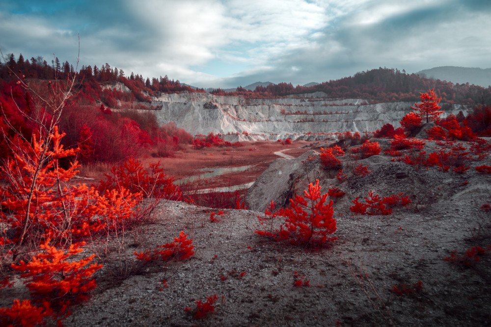 Infračervená flora v starom lome