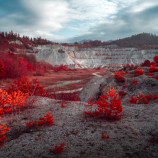 Infračervená flora v starom lome