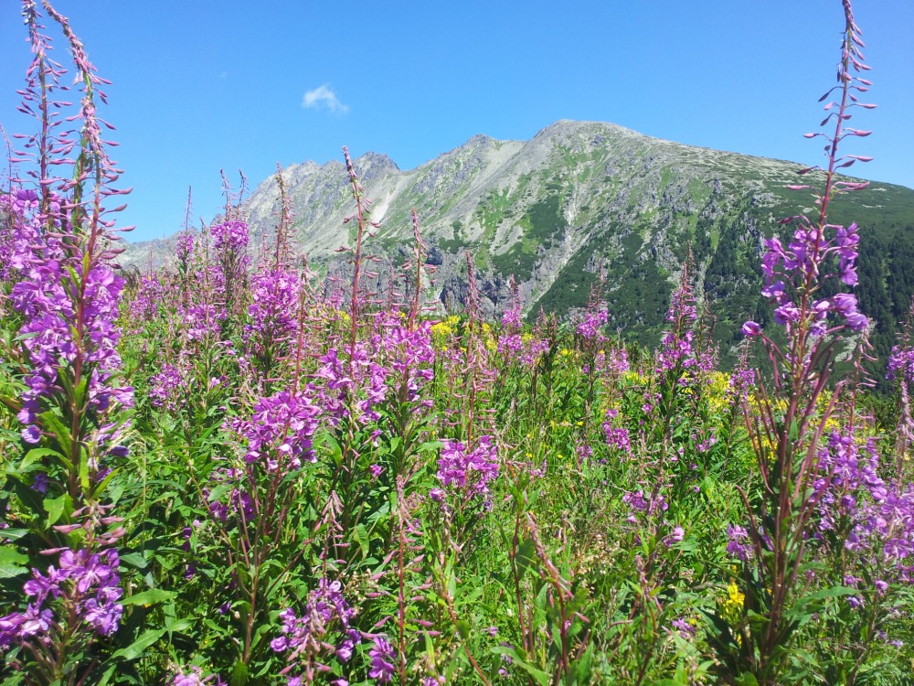 Tatry ako v rozprávke