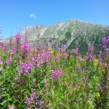 Tatry ako v rozprávke