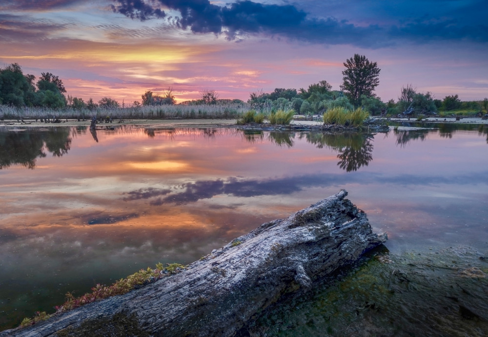 Letné ráno v Martovciach