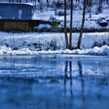 In cold dream