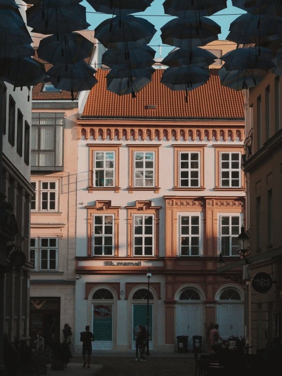 dáždniky na Nedbalovej
