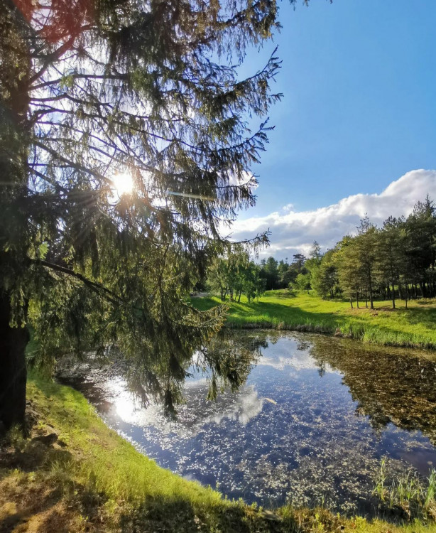 Príroda v Banskej Štiavnici