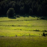 Rozchádzajúce sa cesty