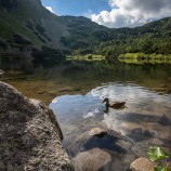 Roháčske pleso