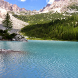 Sorapis