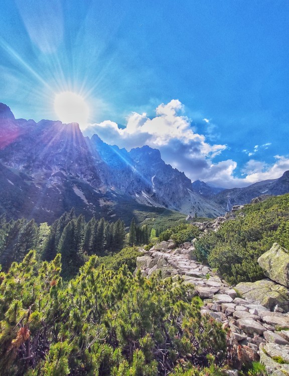 Vysoké Tatry