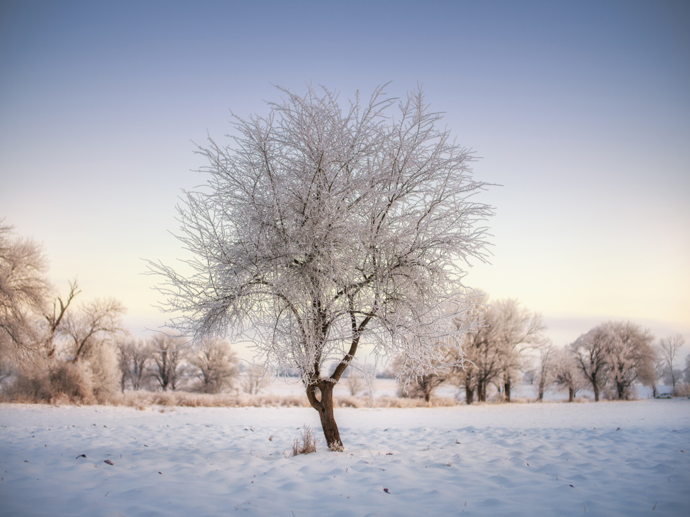 Zimná krajina v Turci