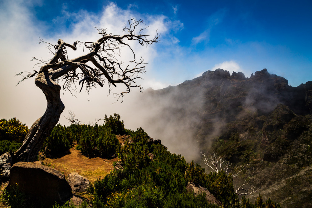 Madeira
