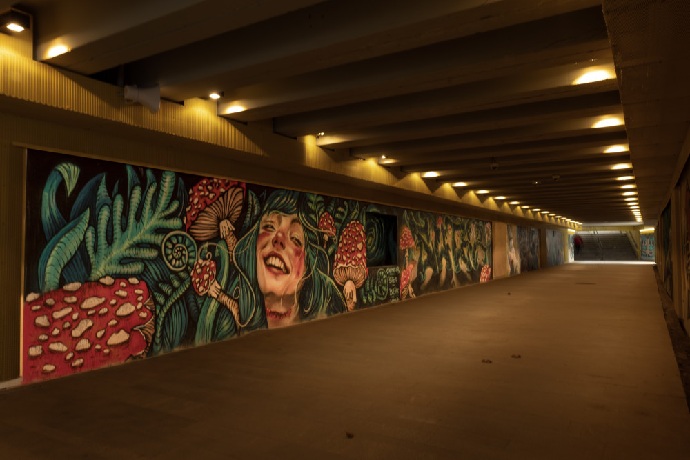 Alenka v říši divu