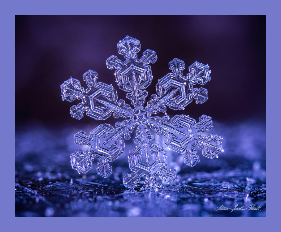 Drahokamy zimného neba