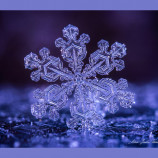 Drahokamy zimného neba