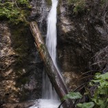 posledné pralesy, Veľká Fatra