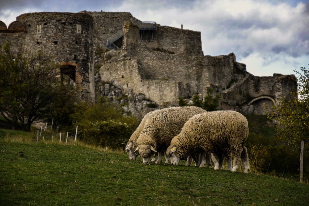 Devín- hrad Devín