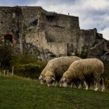 Devín- hrad Devín