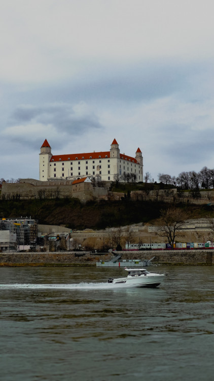 Pohyby na Dunaji