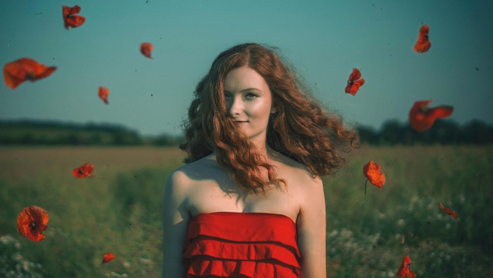 The last poppy