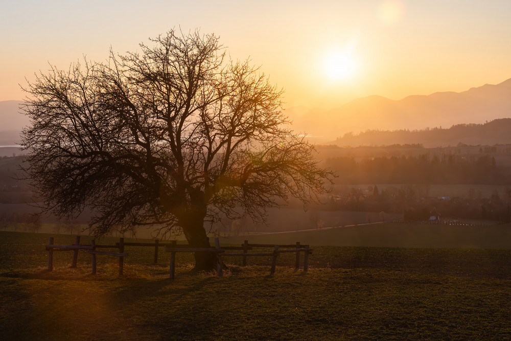 Osamelá, no nie zabudnutá