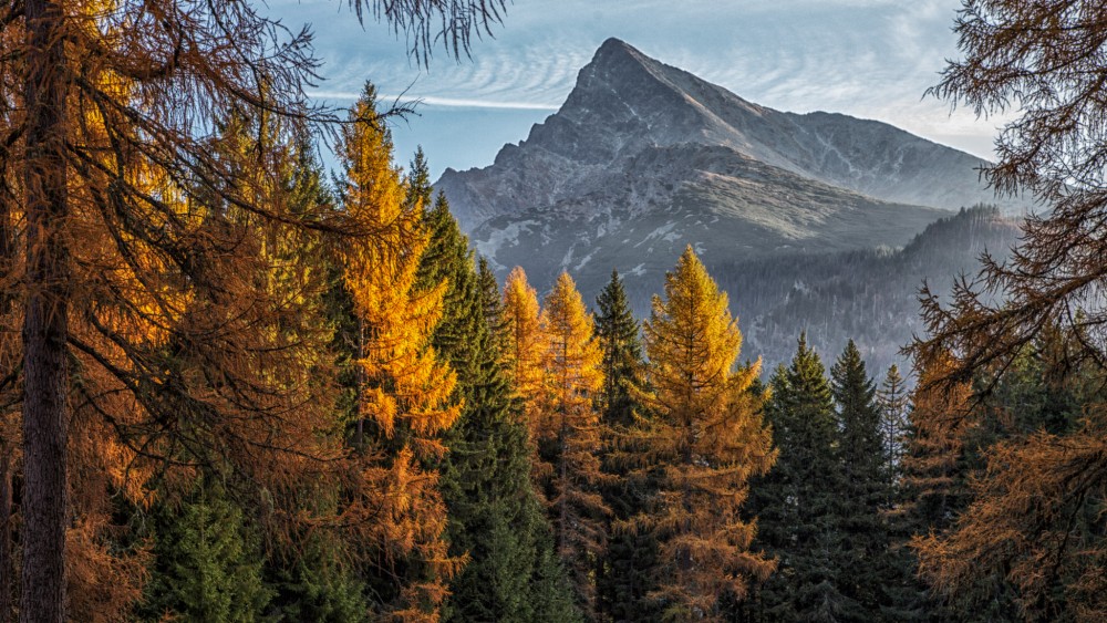 Kriváň, Vysoké Tatry