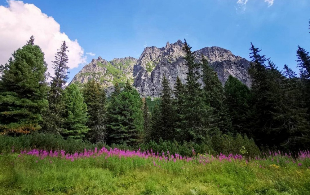 VYSOKÉ TATRY⛰????????