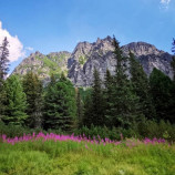 VYSOKÉ TATRY⛰????????