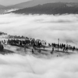 Najkrajšie stromy sú na Horehroní