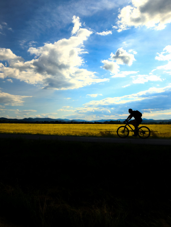 cyklista v protisvetle