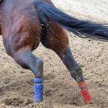 One Horse Power