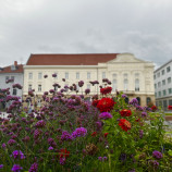Trnava