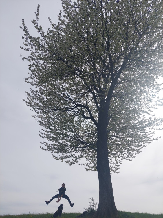 Cčlovek, pes a strom