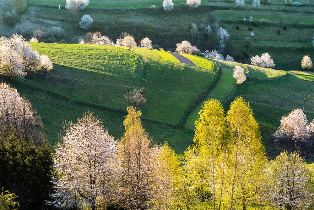 Hriňovské lazy