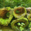 Zelená