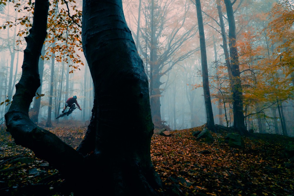 Autumn Days
