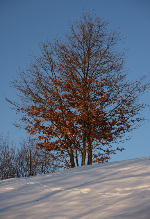 Pod Pustým hradom ????